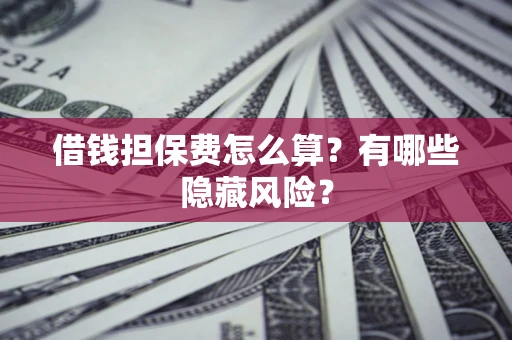 武汉借钱担保费怎么算？有哪些隐藏风险？