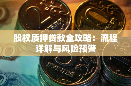 武汉股权质押贷款全攻略：流程详解与风险预警