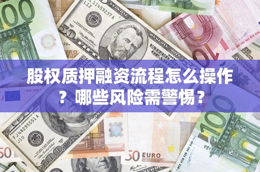 武汉股权质押融资流程怎么操作？哪些风险需警惕？