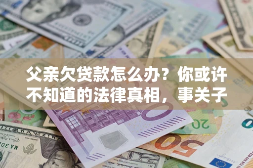 武汉父亲欠贷款怎么办？你或许不知道的法律真相，事关子女未来
