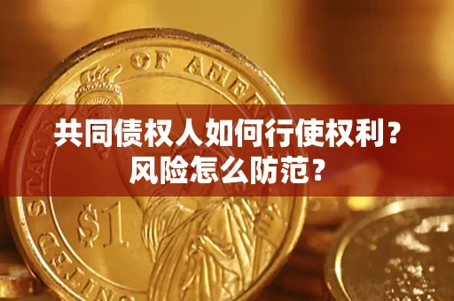 武汉共同债权人如何行使权利？风险怎么防范？