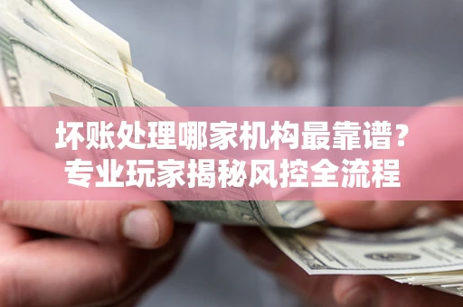武汉坏账处理哪家机构最靠谱？专业玩家揭秘风控全流程