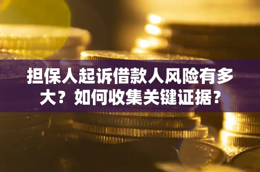 武汉担保人起诉借款人风险有多大？如何收集关键证据？