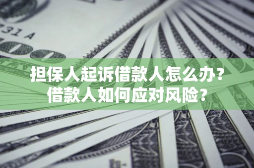 武汉担保人起诉借款人怎么办？借款人如何应对风险？