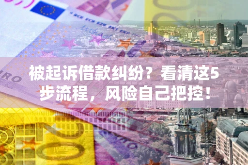 武汉被起诉借款纠纷？看清这5步流程，风险自己把控！