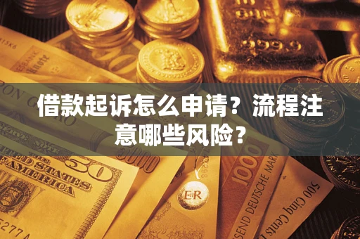 武汉借款起诉怎么申请？流程注意哪些风险？