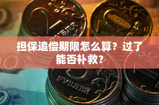 武汉担保追偿期限怎么算？过了能否补救？